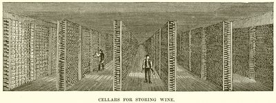Cantine per Conservare il Vino da English School