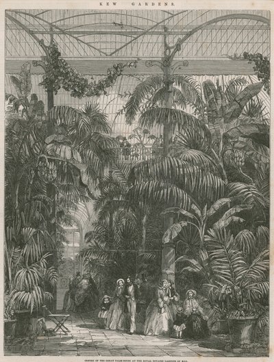 Centro della Grande Casa delle Palme nei Giardini Botanici Reali di Kew da English School