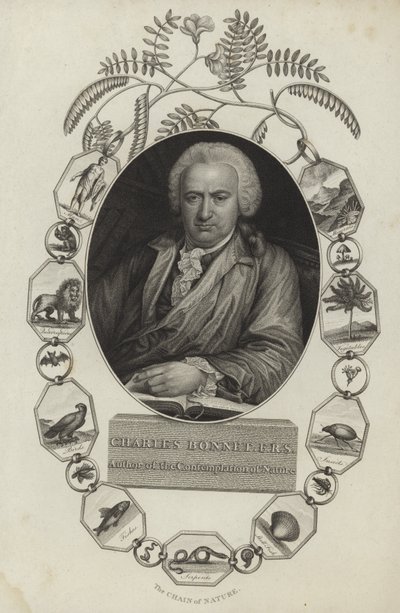 Charles Bonnet da English School