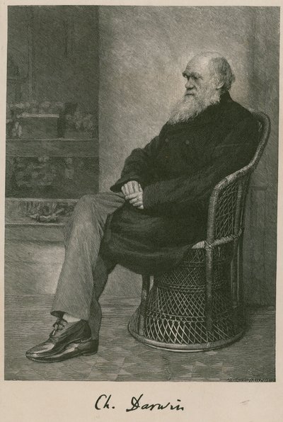 Charles Darwin da English School