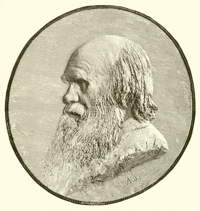 Charles Darwin da English School