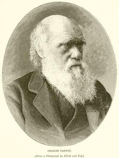 Charles Darwin da English School