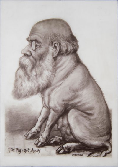 Targa di Charles Darwin, c.1870 da English School