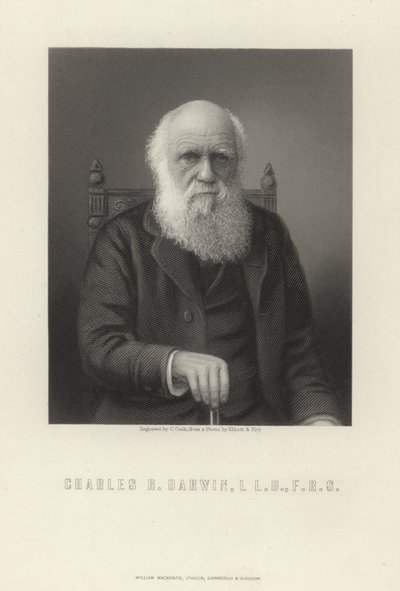 Charles R. Darwin da English School