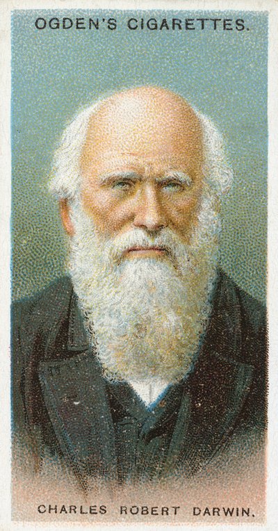 Charles Robert Darwin da English School