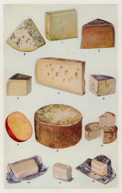 Cheddar; Gorgonzola; Double Gloster; Parmigiano; Gruyere; Roquefort; Olandese; Stilton; Camembert; St Ives; Crema da English School