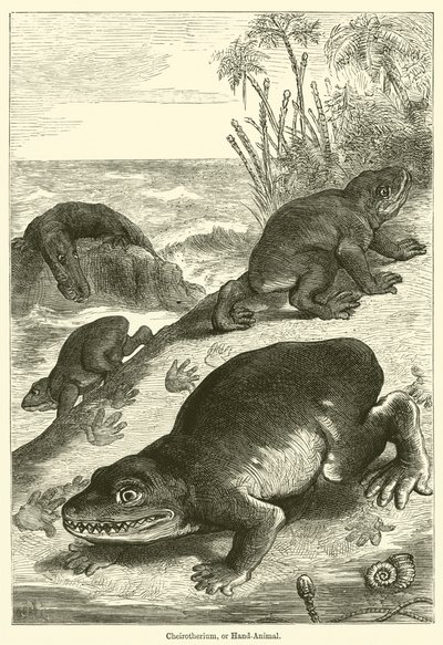 Cheirotherium, o animale a mano da English School