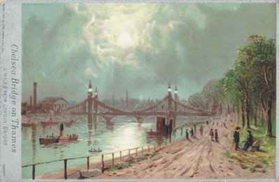 Ponte di Chelsea sul fiume Tamigi da English School