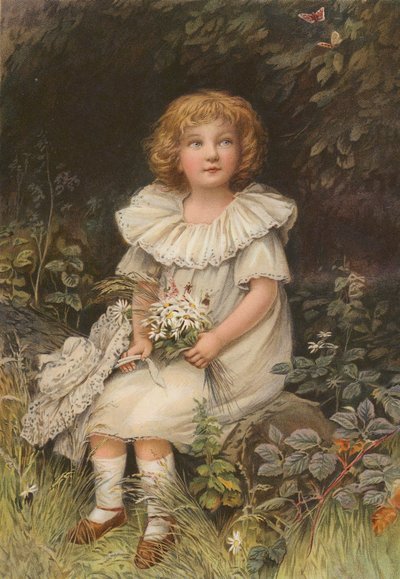 Bambino e farfalle da English School