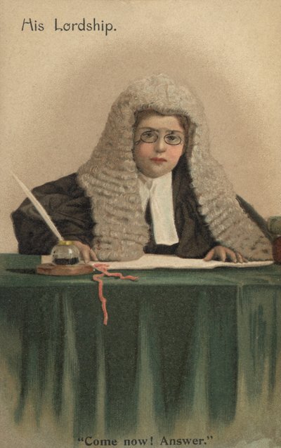 Bambino vestito da giudice da English School