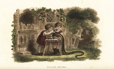 Bambini che usano cucchiai per colpire la testa di un serpente nero che beve avidamente da un piattino di latte da English School
