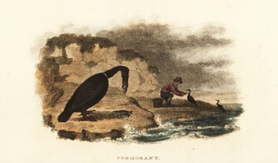 Uomo cinese che pesca con il cormorano sulle rive di un lago da English School