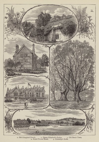 Chingford (incisione) da English School