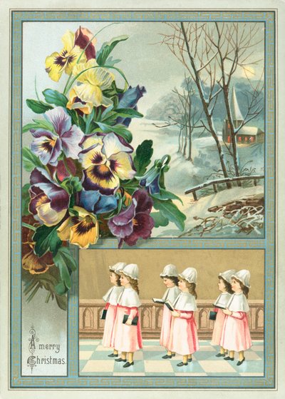 Ragazze del coro e viole da English School