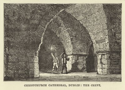 Cattedrale di Christchurch, Dublino, la cripta da English School