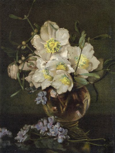Rose di Natale da English School