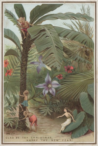 Cartolina di Natale da English School