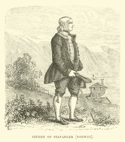Cittadino di Stavanger, Norvegia da English School