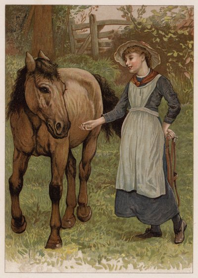 Il furbo Dobbin da English School