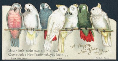 Cacatua, Cartolina di Capodanno da English School
