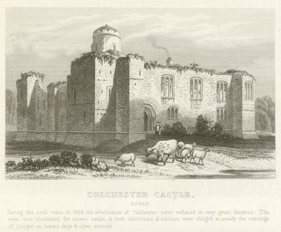 Castello di Colchester, Essex da English School