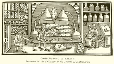 Preparazione di un Balsamo da English School