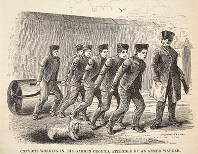 Detenuti che lavorano nel giardino, sorvegliati da una guardia armata, illustrazione da Le Prigioni Criminali di Londra e Scene dalla Vita Carceraria di Henry Mayhew e John Binny, pub. 1862 da English School