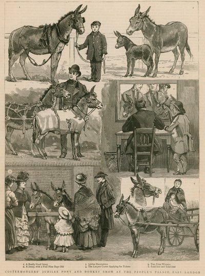 Mostra di pony e asini del Giubileo dei Costermongers al Peoples Palace, East London da English School