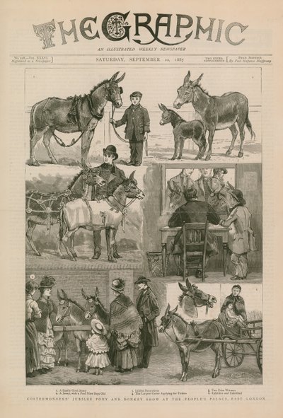 Mostra di pony e asini del giubileo dei costermongers al People