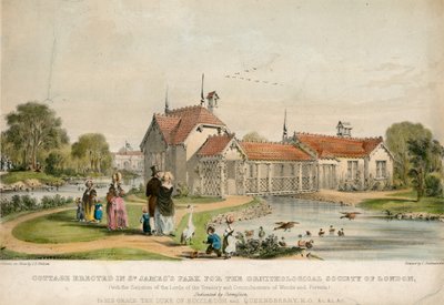 Cottage eretto in St Jamess Park per la Società Ornitologica di Londra da English School