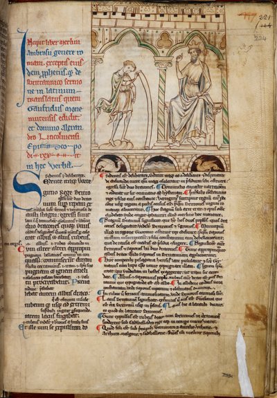 Il Ragazzo Merlino che profetizza davanti al Re Vortigern, illustrazione dalle 