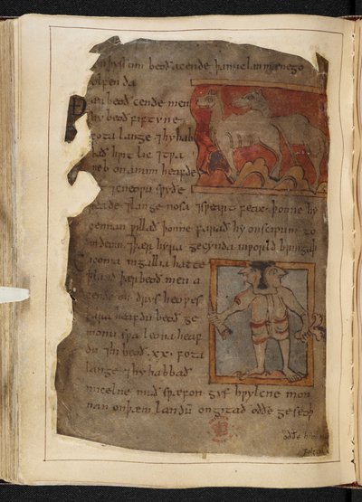 Beowulf, dal 