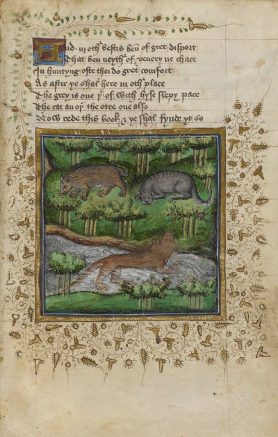 Cotton Vespasian B. XII, f.4 Illustrazione di un tasso, un gatto selvatico e una lontra; con versi, da un 