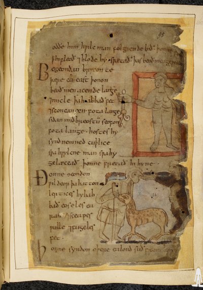 Un uomo nudo che tiene una pianta; due uomini che parlano, e tra loro un lertix, una bestia simile a una pecora, illustrazione da Beowulf, dal 