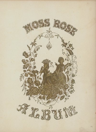 Illustrazione di copertina per Moss Rose Album da English School