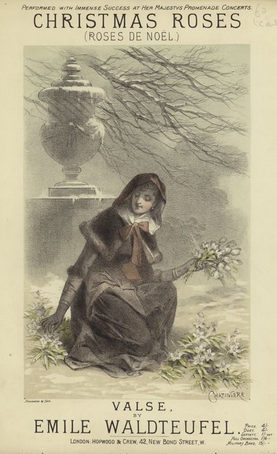 Copertina di Rose di Natale da English School