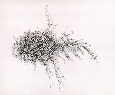 Nebulosa del Granchio" di William Parsons, da "Observations on some of the Nebulae" delle "Philosophical Transactions of the Royal Society". da English School