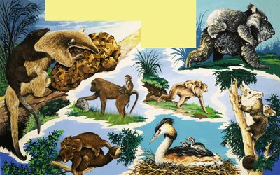 Creature che portano i loro piccoli da English School