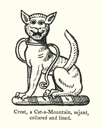 Cresta, un gatto selvatico, seduto, collare e linea da English School