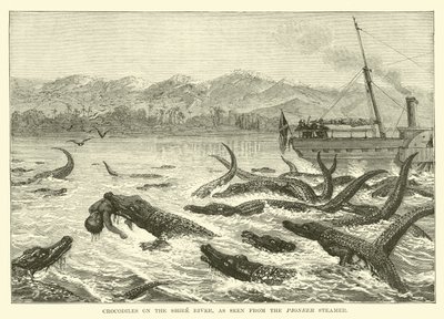 Coccodrilli sul fiume Shire, visti dal piroscafo Pioneer da English School