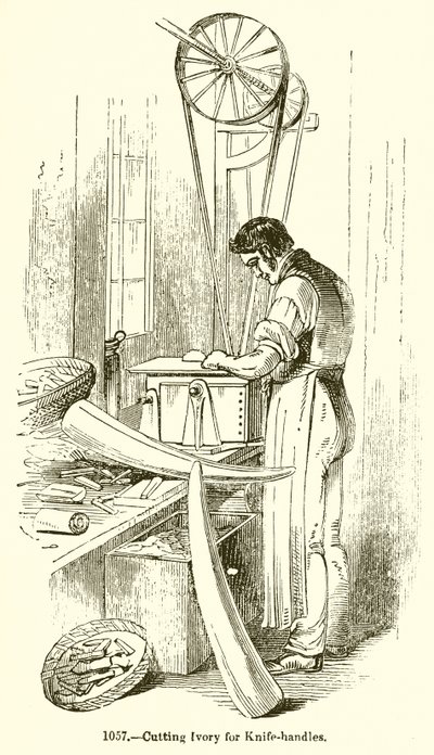 Taglio dell