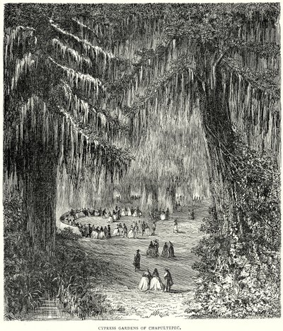Giardini di cipressi di Chapultepec (incisione) da English School