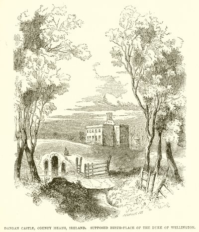 Castello di Dangan, Contea di Meath, Irlanda. Supposto Luogo di Nascita del Duca di Wellington da English School