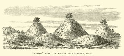 Tumuli o monticelli danesi vicino ad Ashdown, Essex da English School