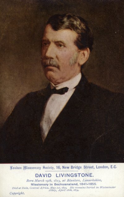 David Livingstone da English School
