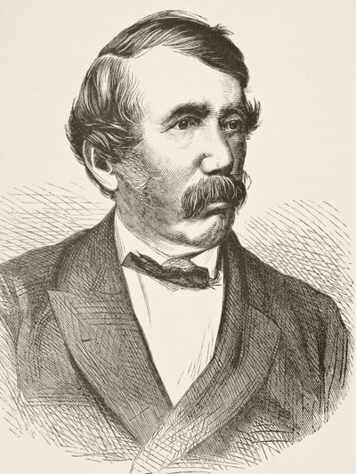 David Livingstone, da 