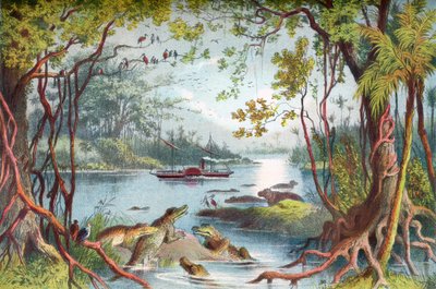 La nave di David Livingstone, La Ma-Robert, sul fiume Zambesi, Africa, durante la sua spedizione sullo Zambesi nel XIX secolo. Da La vita e le esplorazioni del Dr. Livingstone pubblicato c.1875 da English School