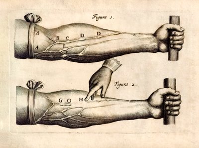 De Motu Cordi, set Sanguinis in Animalibus