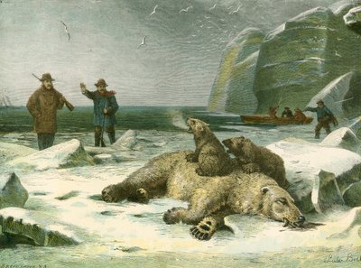 Orso polare morto e cuccioli da English School