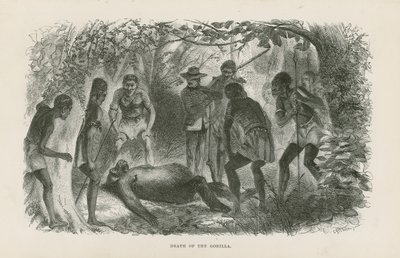 Morte del gorilla da English School